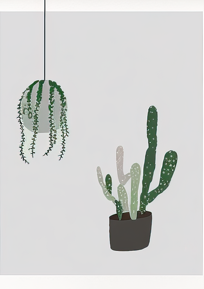 No.133 Cactus and Houseplants