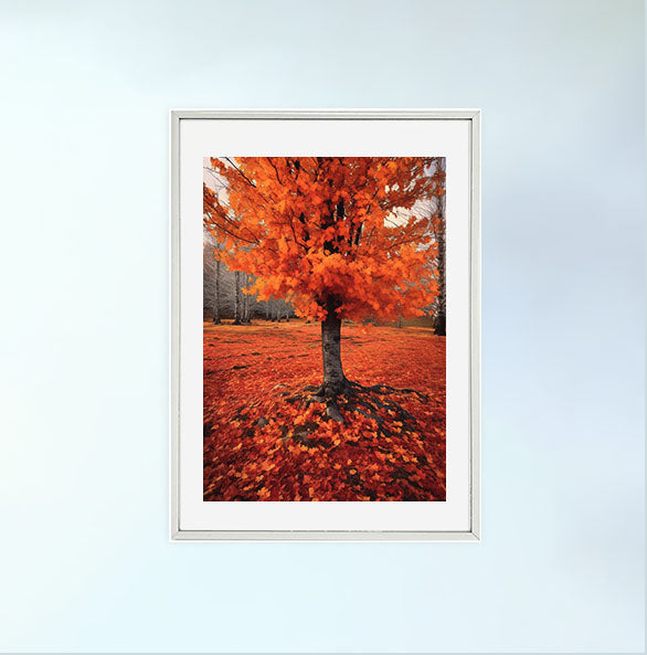 秋の紅葉のアートポスター銀フレームあり