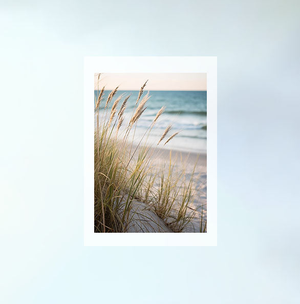 海岸植物のアートポスター原画のみ設置イメージ