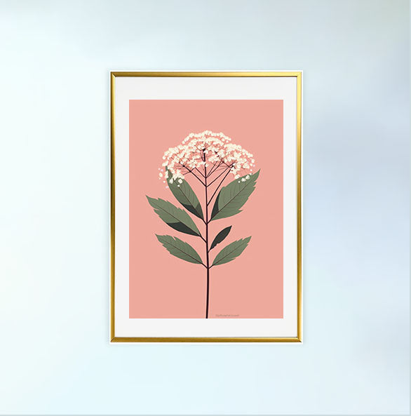 ビカクシダのアートポスター金フレームあり