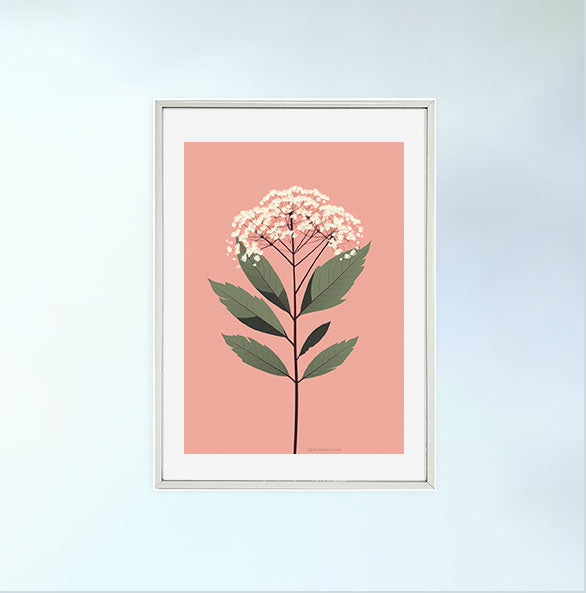 ビカクシダのアートポスター銀フレームあり