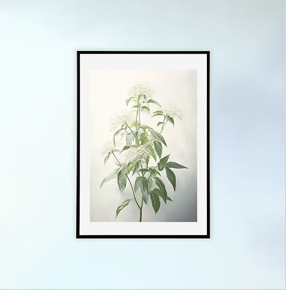 ビカクシダのアートポスター黒フレームあり