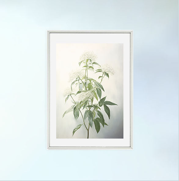 ビカクシダのアートポスター銀フレームあり