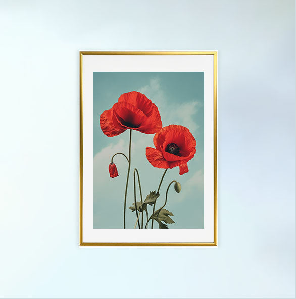 ジオメトリック・ユーフォリアのアートポスター金フレームあり