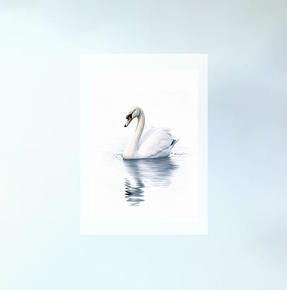 グレースフル スワンのアートポスター原画のみ設置イメージ