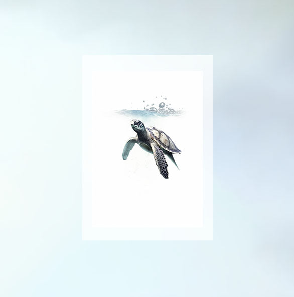 グレースフル スワンのアートポスター原画のみ設置イメージ