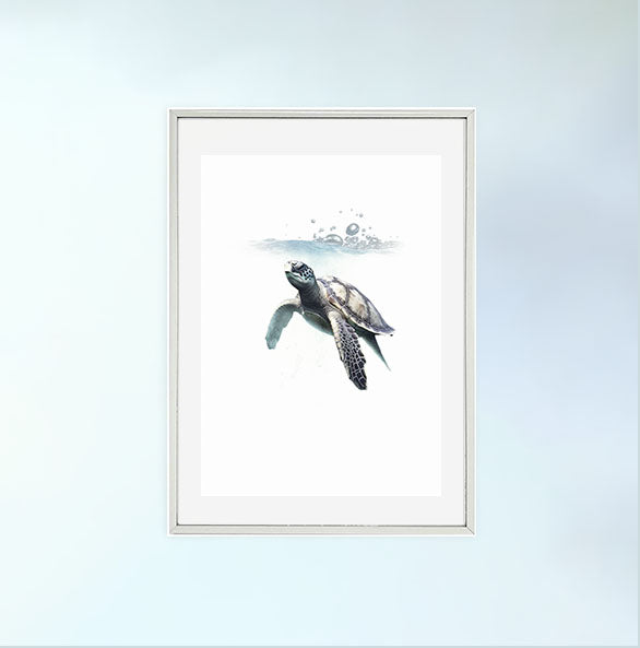 グレースフル スワンのアートポスター銀フレームあり