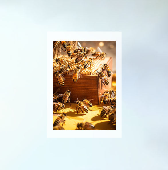 ハーモニアス ビーハイブ(Harmonious Beehiveのアートポスター原画のみ設置イメージ