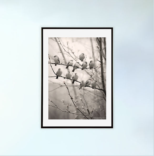 メロディアス・ソングバード(Melodious Songbirdsのアートポスター黒フレームあり
