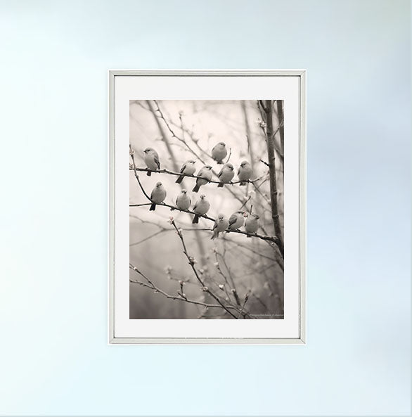 メロディアス・ソングバード(Melodious Songbirdsのアートポスター銀フレームあり