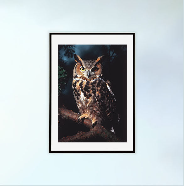 ミステリアスオウルのアートポスター黒フレームあり