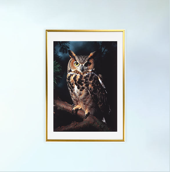 ミステリアスオウルのアートポスター金フレームあり