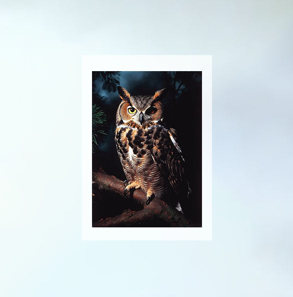 ミステリアスオウルのアートポスター原画のみ設置イメージ