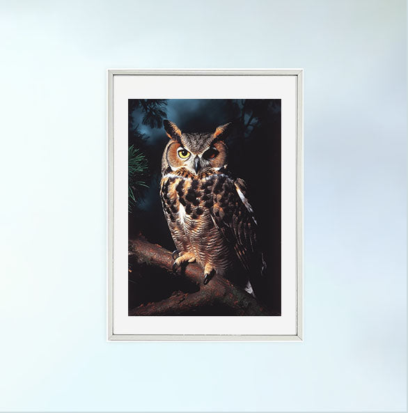 ミステリアスオウルのアートポスター銀フレームあり
