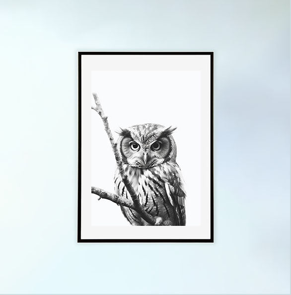 ミステリアスオウルのアートポスター黒フレームあり