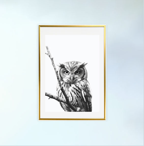 ミステリアスオウルのアートポスター金フレームあり