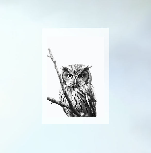 ミステリアスオウルのアートポスター原画のみ設置イメージ
