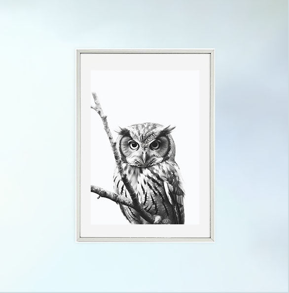 ミステリアスオウルのアートポスター銀フレームあり