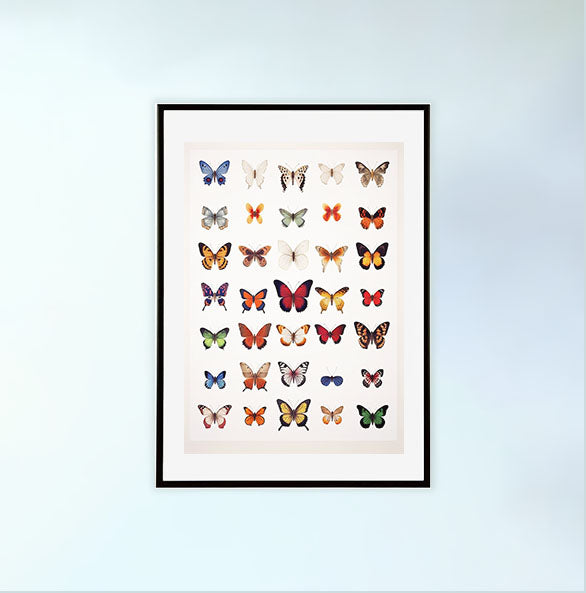 プリズム・バタフライ・ガーデンのアートポスター黒フレームあり