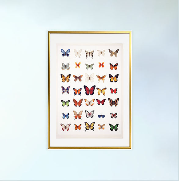 プリズム・バタフライ・ガーデンのアートポスター金フレームあり