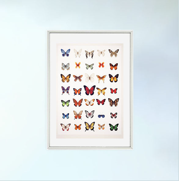 プリズム・バタフライ・ガーデンのアートポスター銀フレームあり
