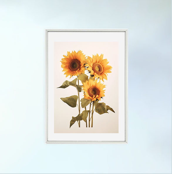 放射状に広がるひまわりのアートポスター銀フレームあり