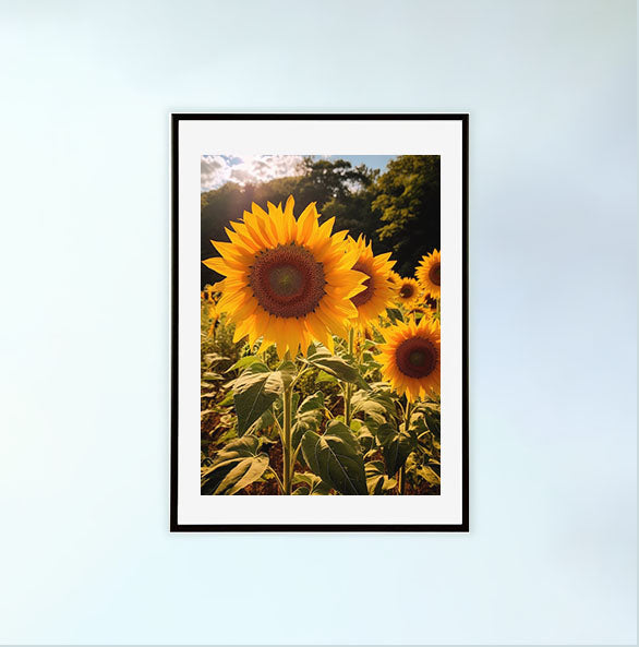 放射状に広がるひまわりのアートポスター黒フレームあり