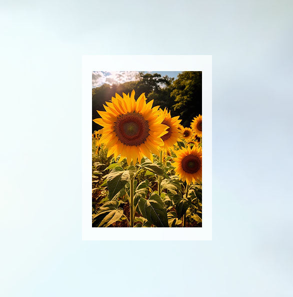 放射状に広がるひまわりのアートポスター原画のみ設置イメージ