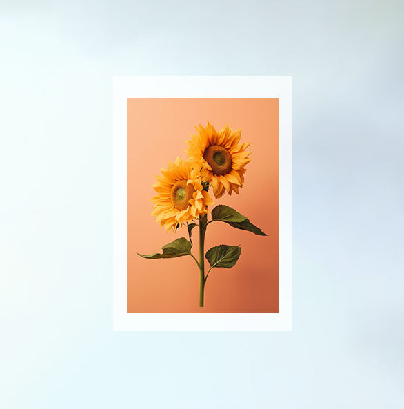 放射状に広がるひまわりのアートポスター原画のみ設置イメージ