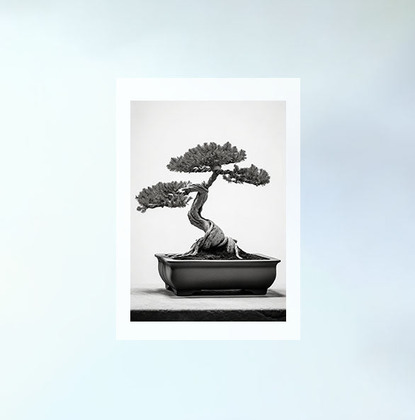 セレーネ盆栽のアートポスター原画のみ設置イメージ