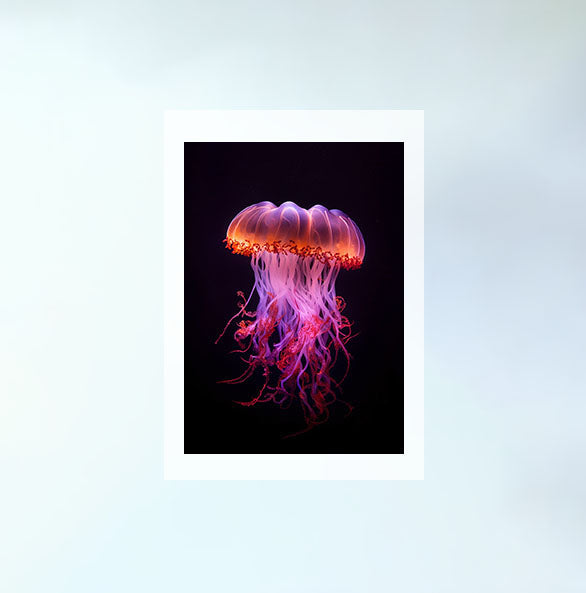 セレーネ・ジェリーフィッシュのアートポスター原画のみ設置イメージ