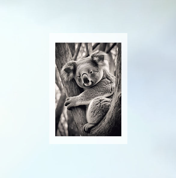 セレーネコアラズのアートポスター原画のみ設置イメージ