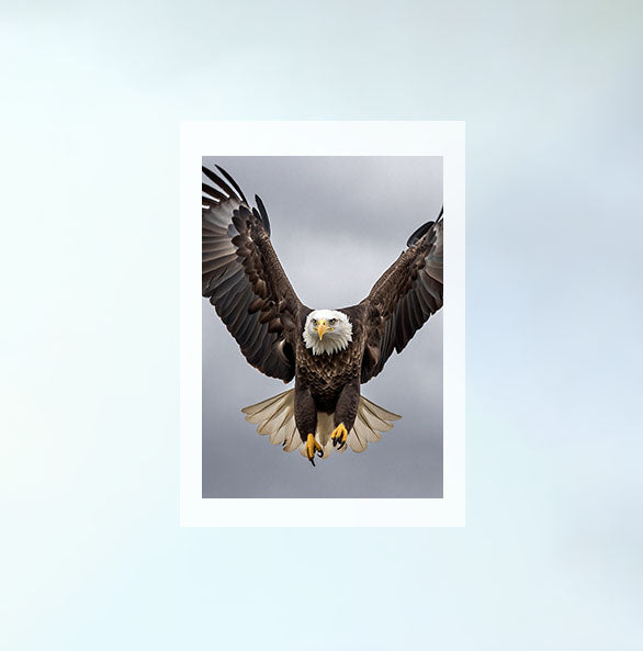 ソアリングイーグルのアートポスター原画のみ設置イメージ