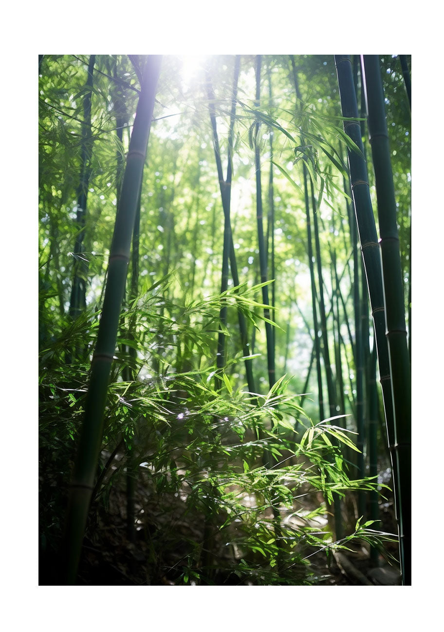 静かな竹林のアートポスター原画のみ