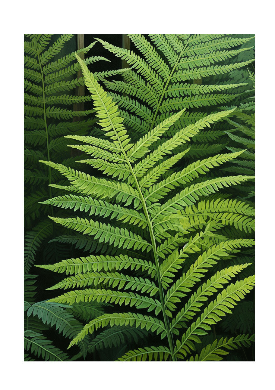 ボタニカルのアートポスター:botanical_1027 / 植物__のポスター画像