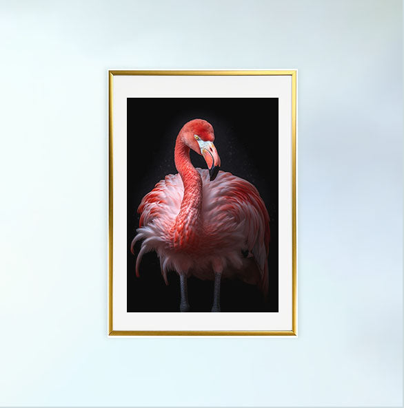 フラミンゴのアートポスター金フレームあり