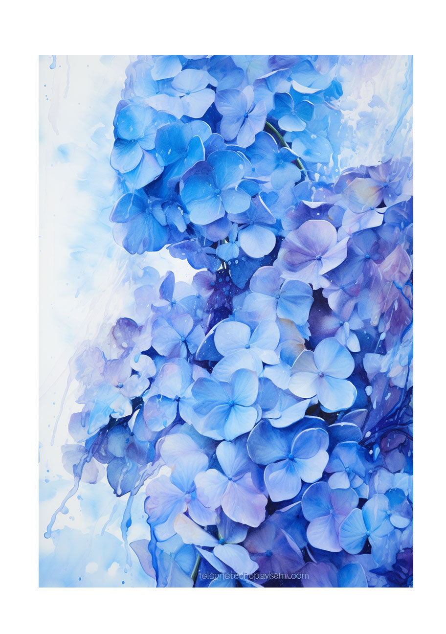 紫陽花のアートポスター原画のみ