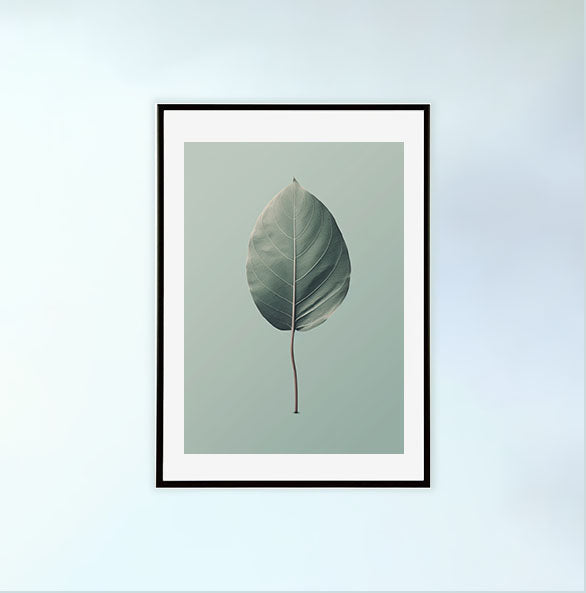 葉っぱのアートポスター黒フレームあり