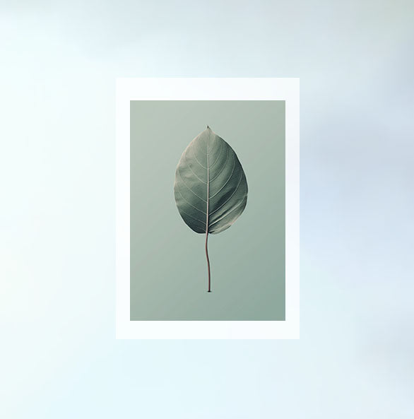 葉っぱのアートポスター原画のみ設置イメージ