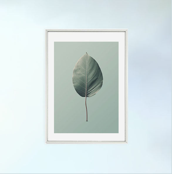 葉っぱのアートポスター銀フレームあり