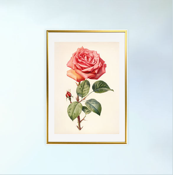 薔薇のアートポスター金フレームあり