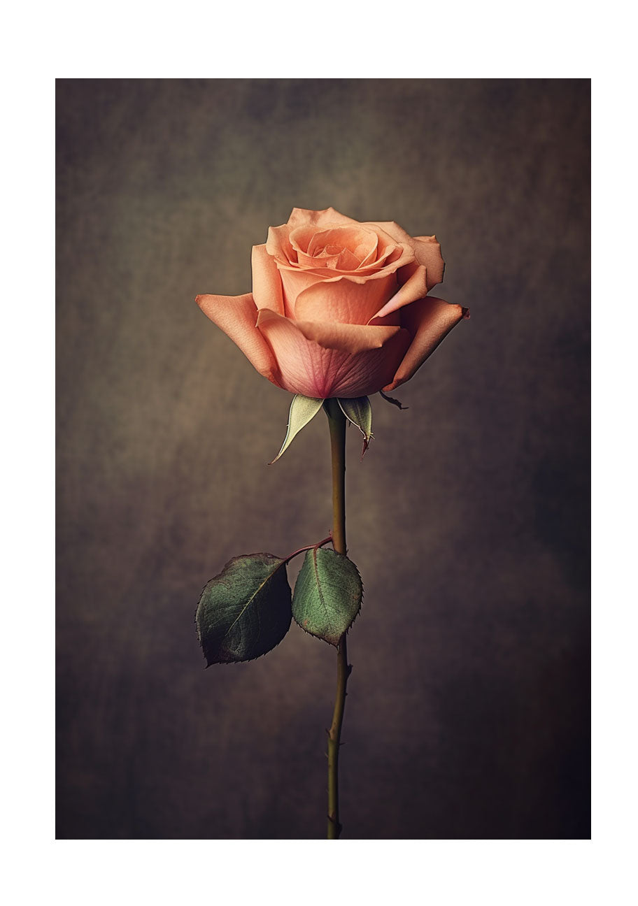 薔薇のアートポスター原画のみ