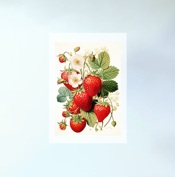 いちごのアートポスター原画のみ設置イメージ
