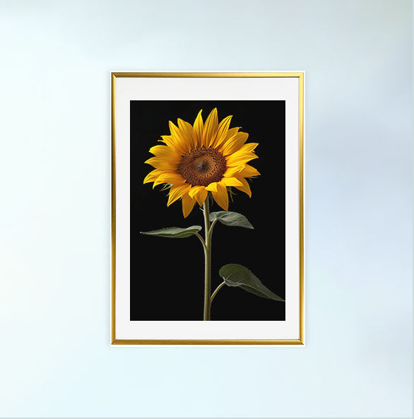 ひまわりのアートポスター金フレームあり