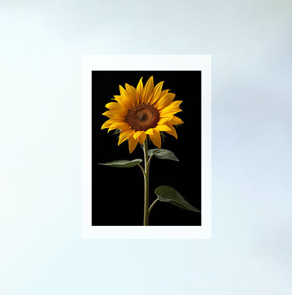 ひまわりのアートポスター原画のみ設置イメージ