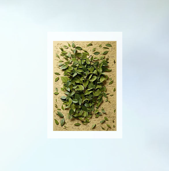 お茶のアートポスター原画のみ設置イメージ