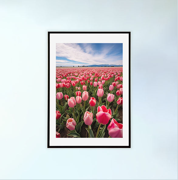チューリップ畑のアートポスター黒フレームあり