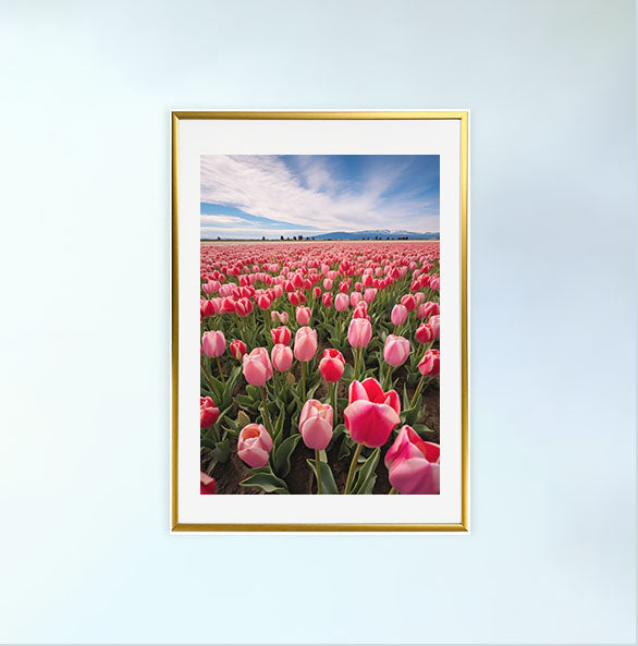 チューリップ畑のアートポスター金フレームあり