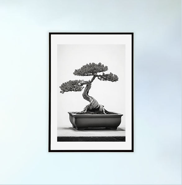 セレーネ盆栽のアートポスター黒フレームあり