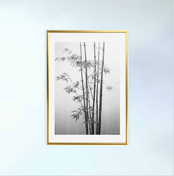 静かな竹林のアートポスター金フレームあり
